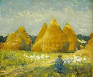 Gathering Geese