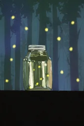 Chasing Fireflies