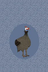 Guinea Fowl