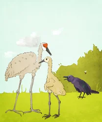 Gus Gus And The Corvid