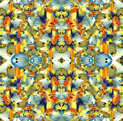 Kaleidoscope Fish Tile