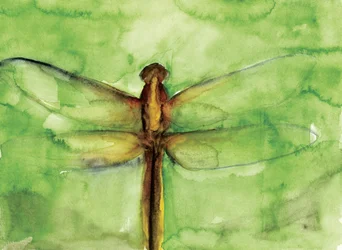 Green Dragonfly Watercolor