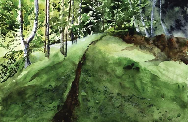 Lush Forest Path