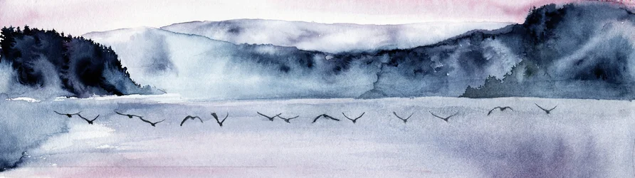 Misty Mountain Birds Flight