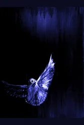 Mystic Blue Owl Flight