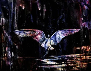 Mystical Night Flight