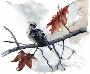 Peaceful Autumn Bird