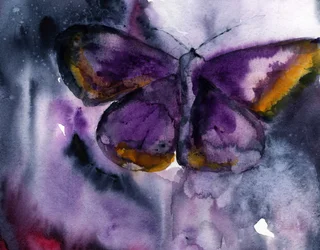 Purple Butterfly Dream