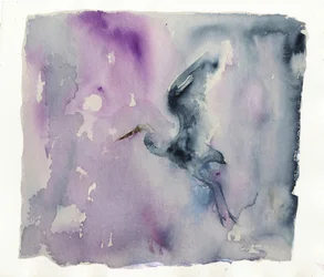 Purple Heron Flight