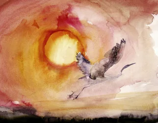 Vibrant Bird Sunset