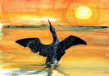 Vibrant Loon Sunset
