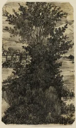 Clump of Trees with a Village in the Distance