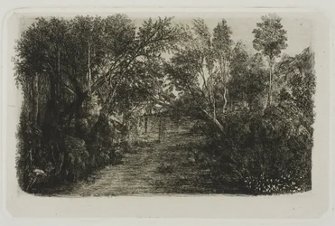 The Creek