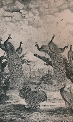 The Peacocks, 1869, 1946