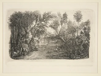 The Stream