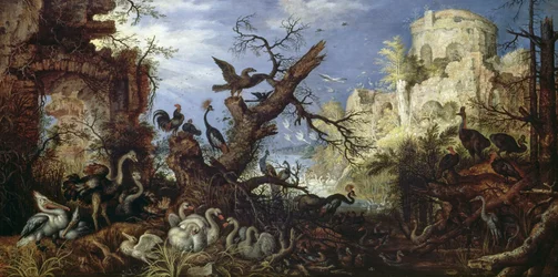 Landscape with birds