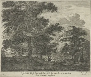 Forest Path in The Hague Forest
