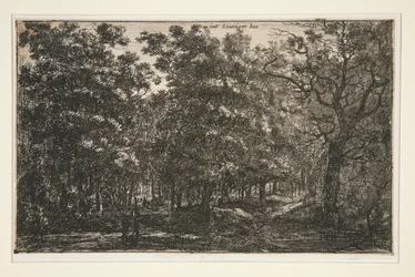 In Seuniger Bos