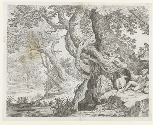 Sleeping Shepherd by a Large Tree