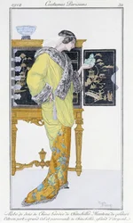 Chinese Silk Dress, Lined with Chinchilla, Velvet Coat - in 