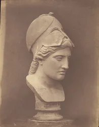 Head of Minerva [three-quarter view]