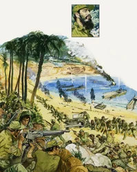 A Tragic Blunder, The Bay of Pigs Invasion