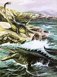 Plesiosaurus and Tylosaurus