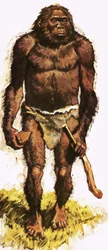 Pre-historic Man