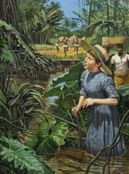 Unidentified Female Explorer in Africa