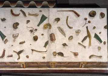 “Asarotos” (Floor unswept) Fragments of mosaic signed by Harakliton from Rome, 2nd century AD