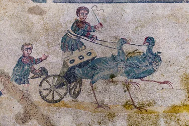 Chariot Race with Charts Pulled by Birds