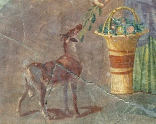 Goat and basket of fruit, fresco from Pompeii, Campania, Italy, Roman civilization