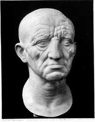 Head of an Old Man
