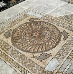 Remains of the Mosaics of the Roman City