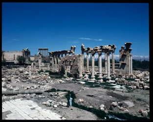 Remains of the Site