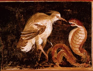 Fight Between a Heron and a Cobra, Roman Fresco from the House of the Epigrams, Pompeii, Italy