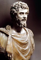 Marble Bust of the Roman Emperor Septimius Severus