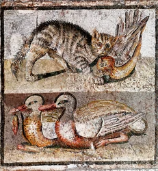 Roman Art: mosaic depicting a wild cat catching a partridge and two ducks. Museo Nazionale Romano, Rome, Italy