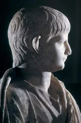 Togate statue of the young Nero, side view of the head, c.50 AD (detail)