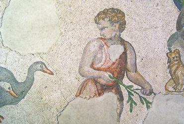 Unknown Image