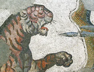 Unknown Image