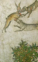 Unknown Image