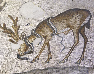 Unknown Image
