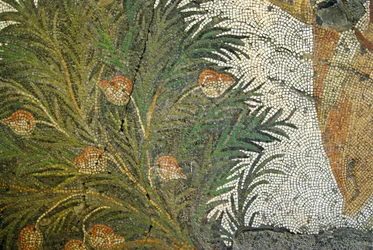 Unknown Image