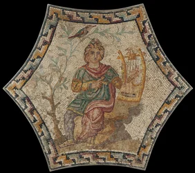 Unknown Image