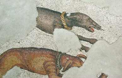 Unknown Image