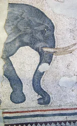 Unknown Image