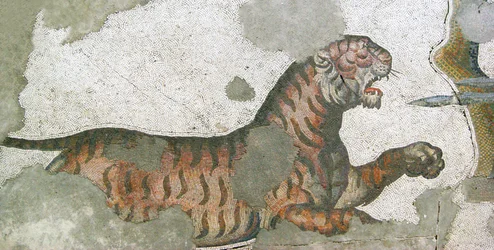 Unknown Image