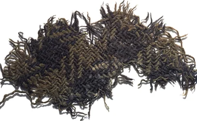 Woollen cloth fragment with a simple check design, from the mouth of a pot containing a hoard of Roman coins, from Falkirk, c.230 AD