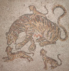 Tigress and Cubs, 300s